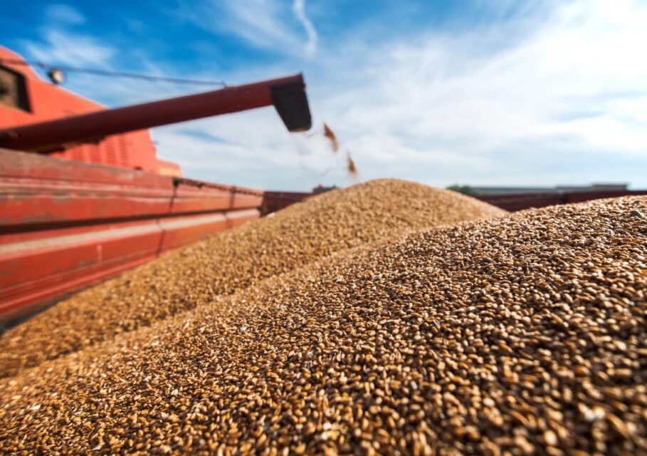 agroportal-ziz.ru