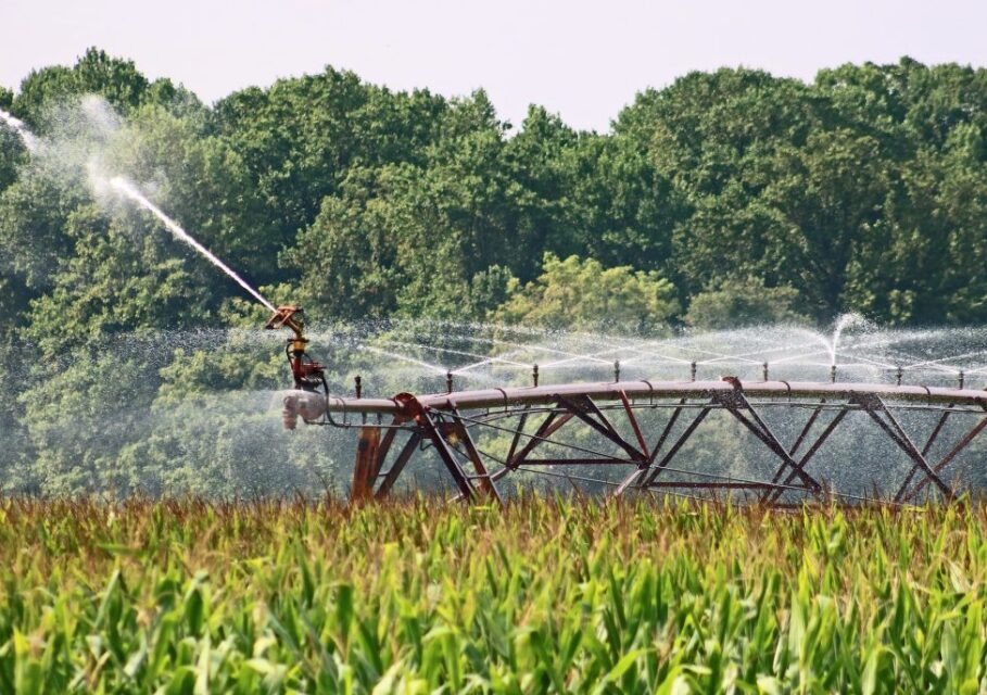 fertilizerdaily.ru