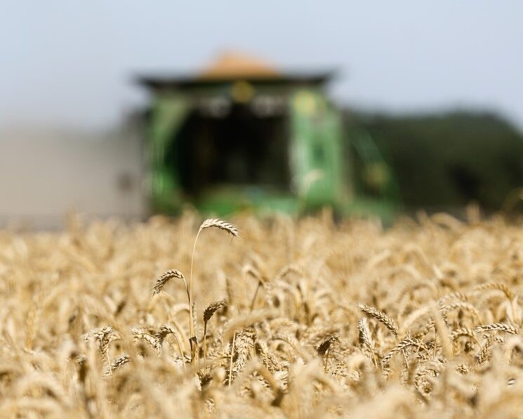 agroinvestor.ru