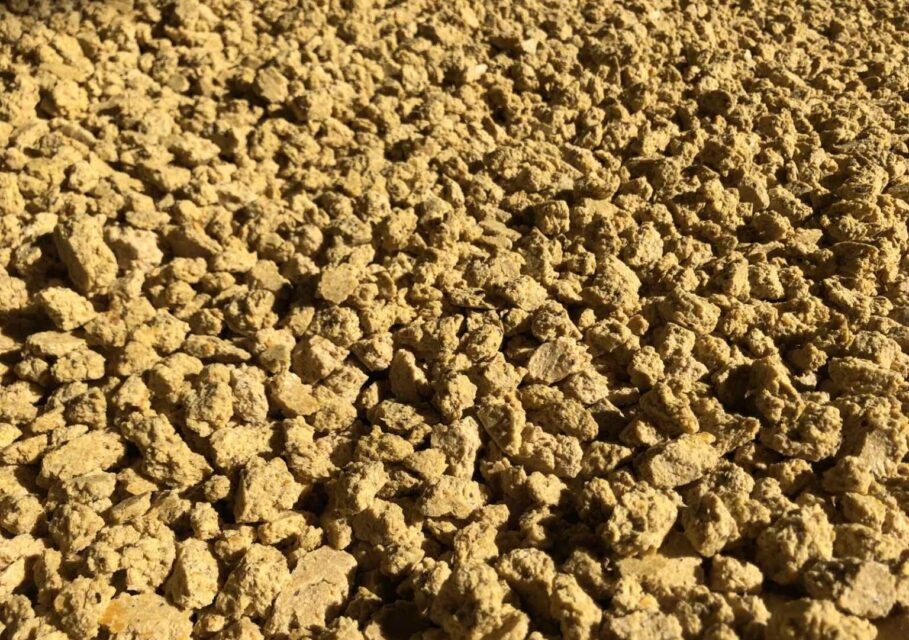 agdaily.com