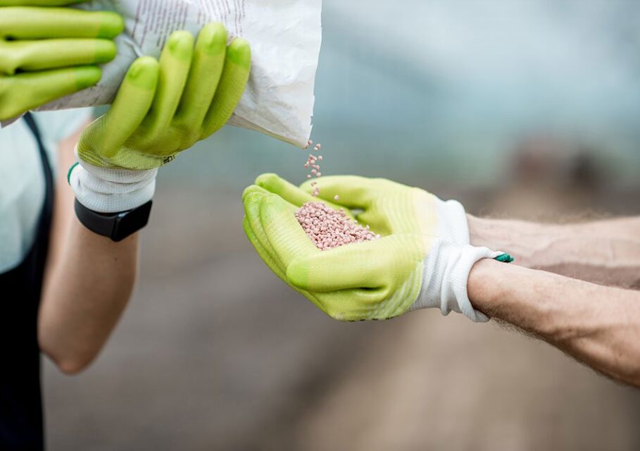 iStock
