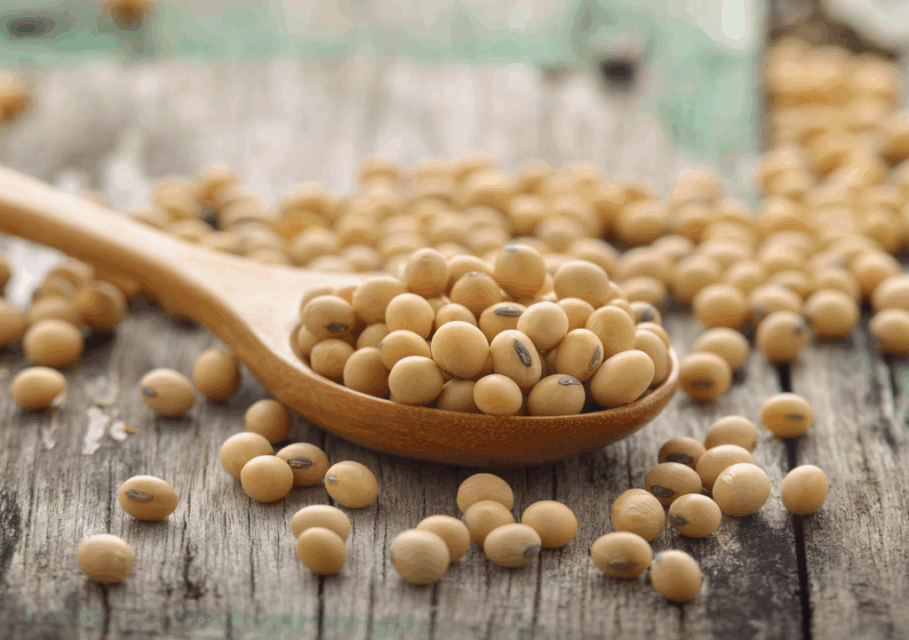 foodbusinessnews.net