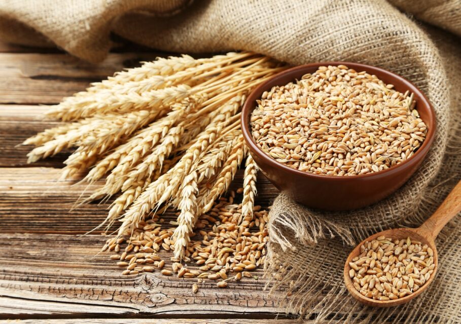 wheat-grains