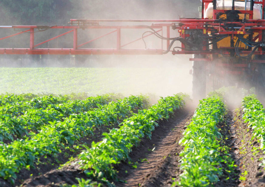 agroconsalting.ru