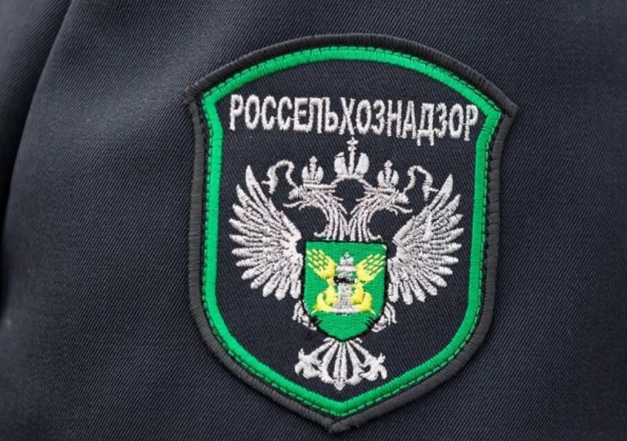 tvtver.ru