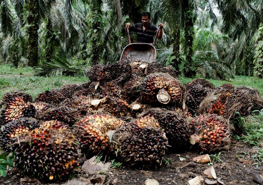 REUTERS/Willy Kurniawan