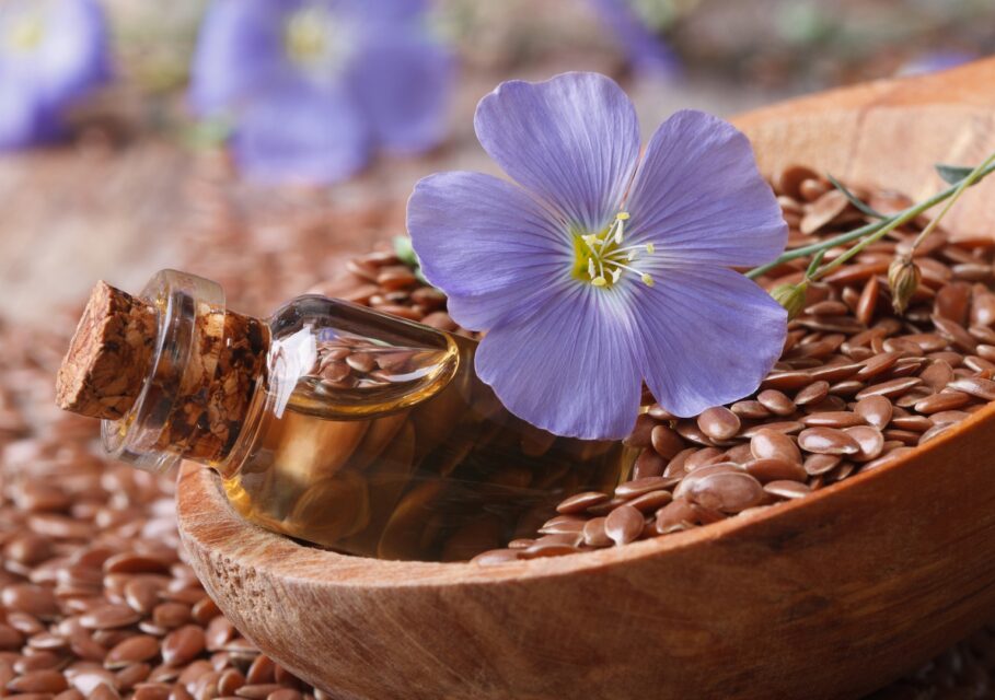 oilison.com