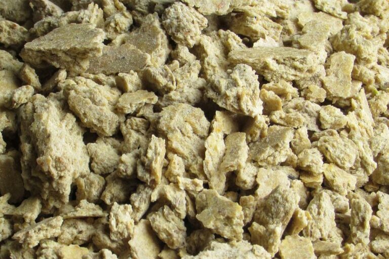agropraktika.com