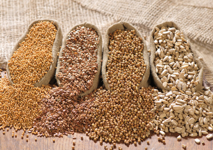 agro-matik.ru