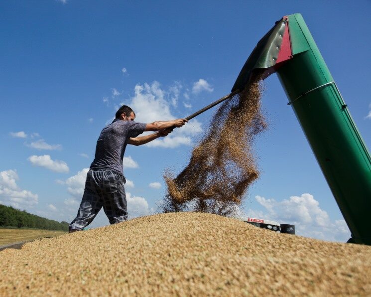 agroinvestor.ru