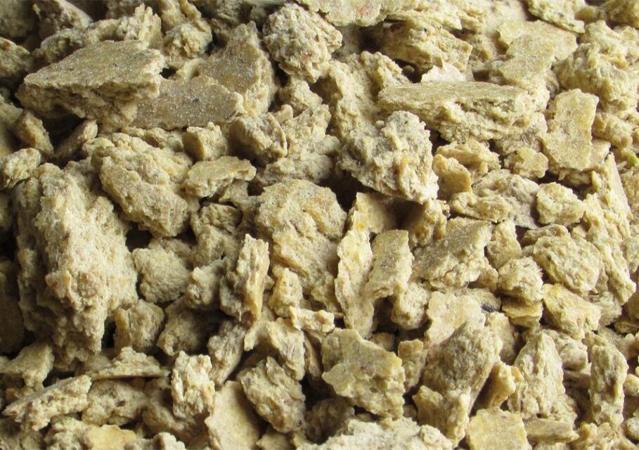 agropraktika.com