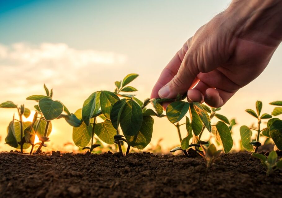 fertilizerdaily.ru