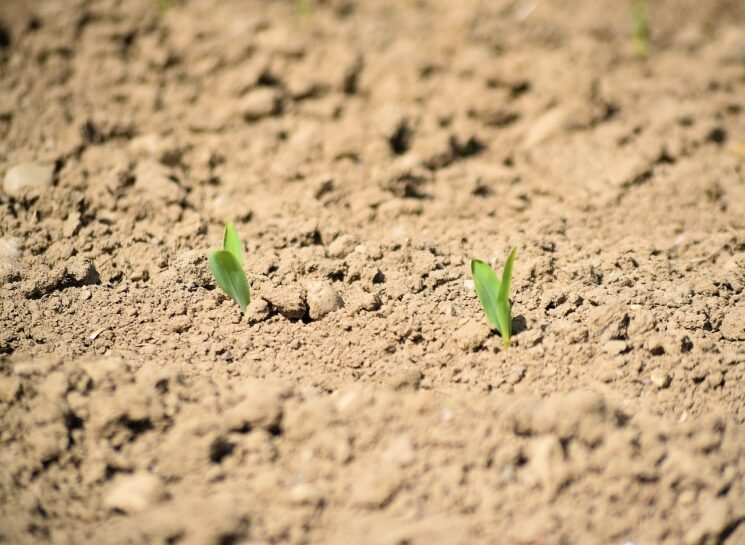 agroinvestor.ru