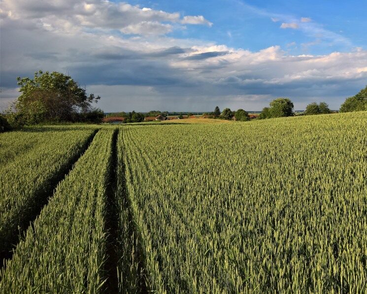 agroinvestor.ru