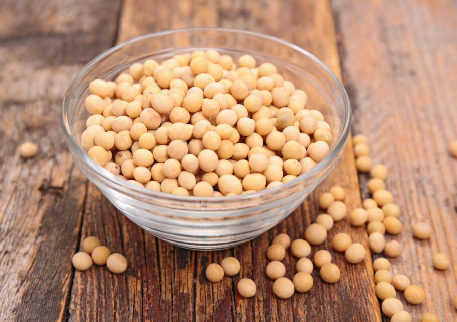 soy bean