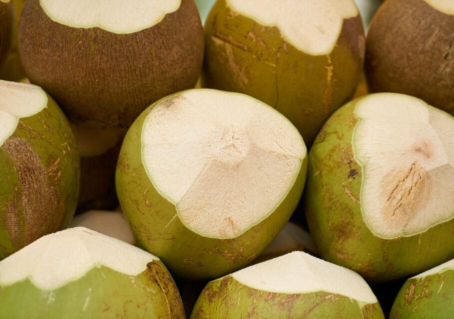 india-coconut-3221935_1920