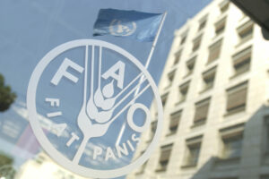 FAO Buildings