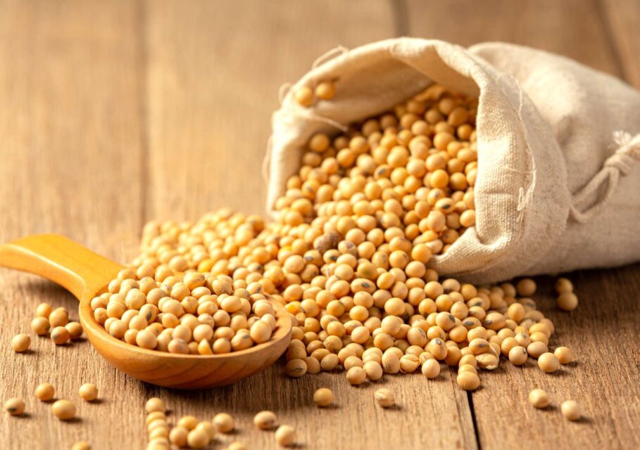 soybean_