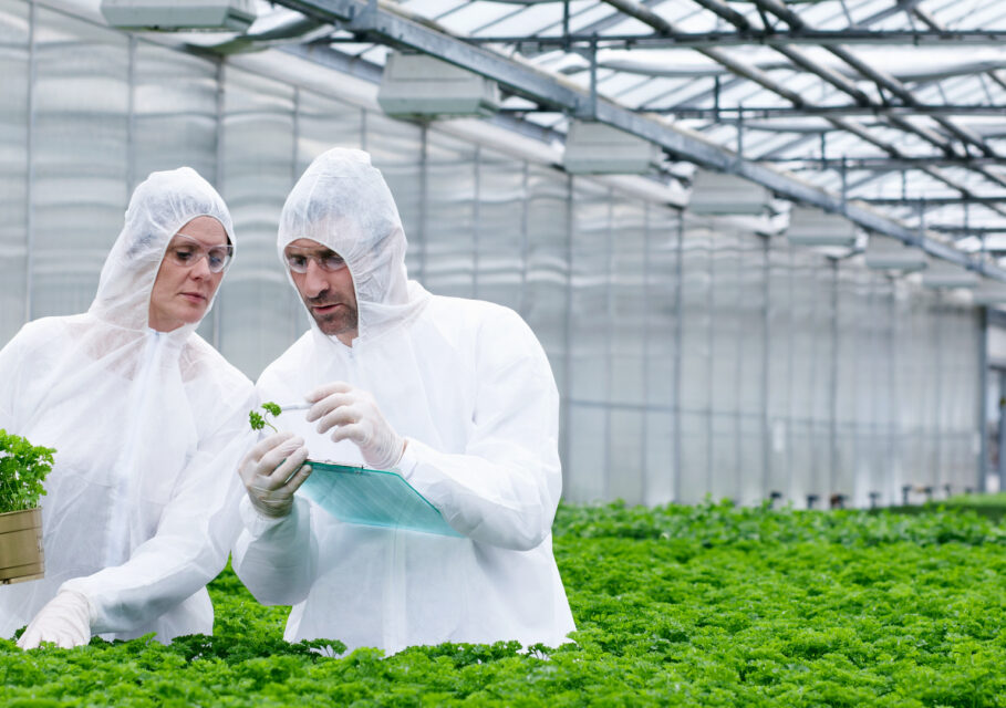 Top-questions-answers-genetically-modified-organisms