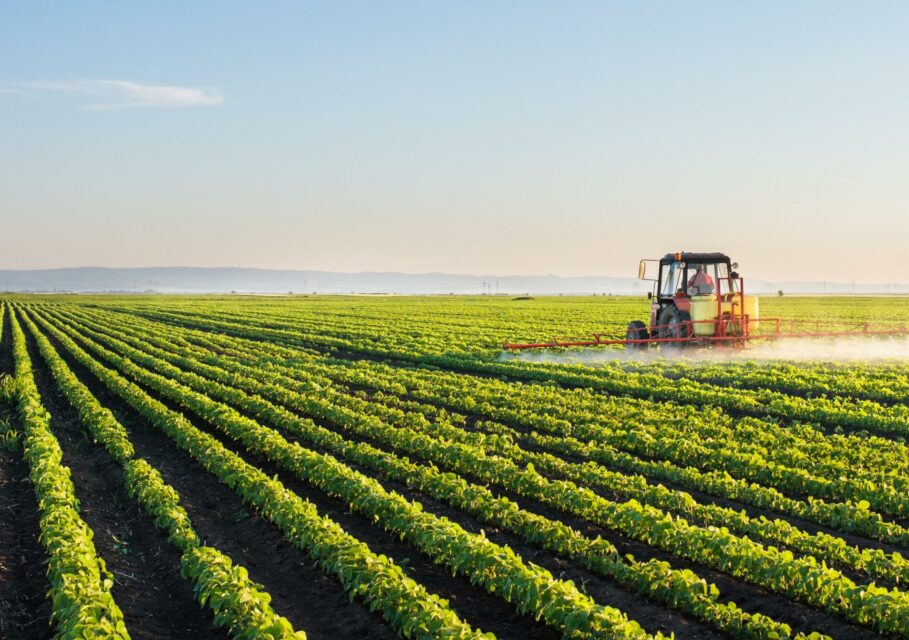 Tractor spraying soybean field at spring