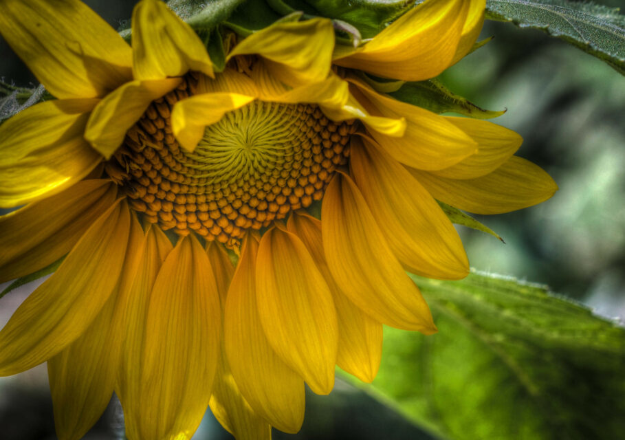 9663057065_03289a011a_4k