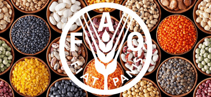 Fao_OK-864x400_c