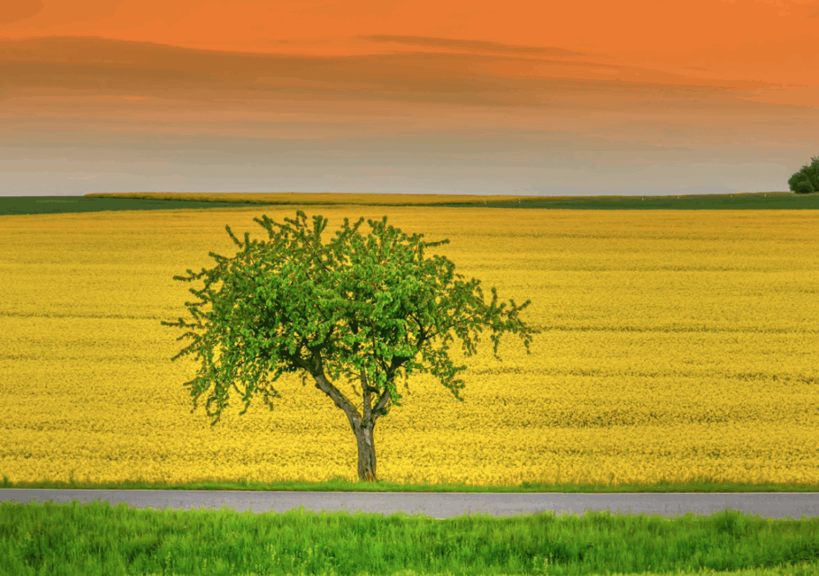 pixabay.com