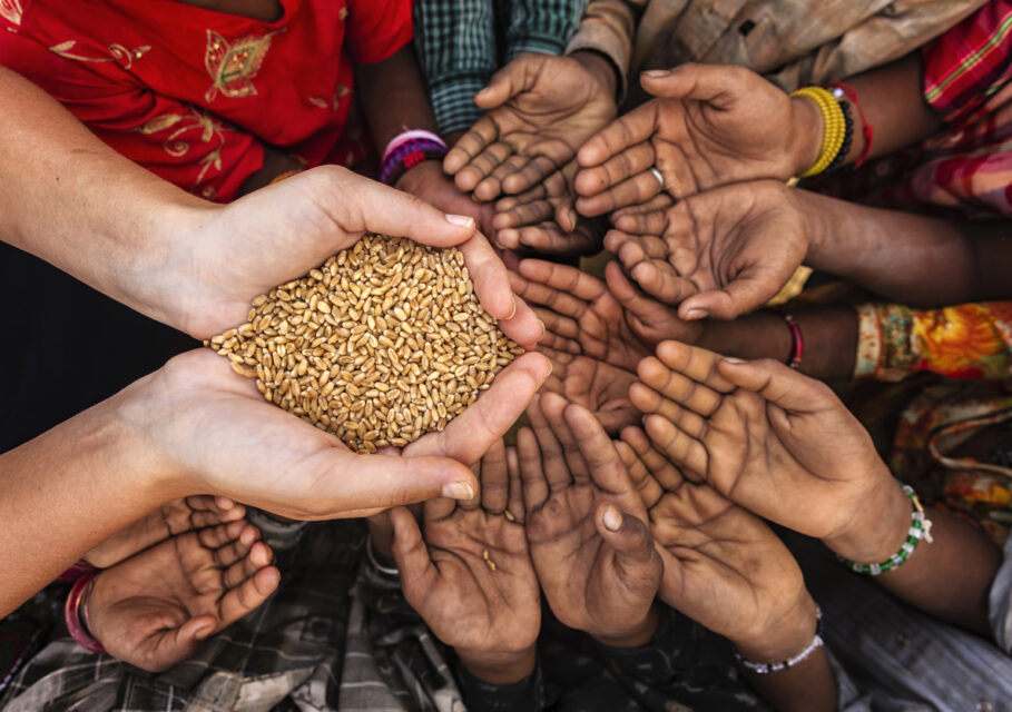 Volunteer caucasian woman giving grain to starving African children. Poor African children keeping their hands up - asking for food.