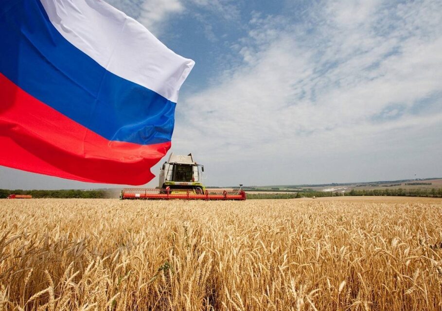 прогноз урожая
