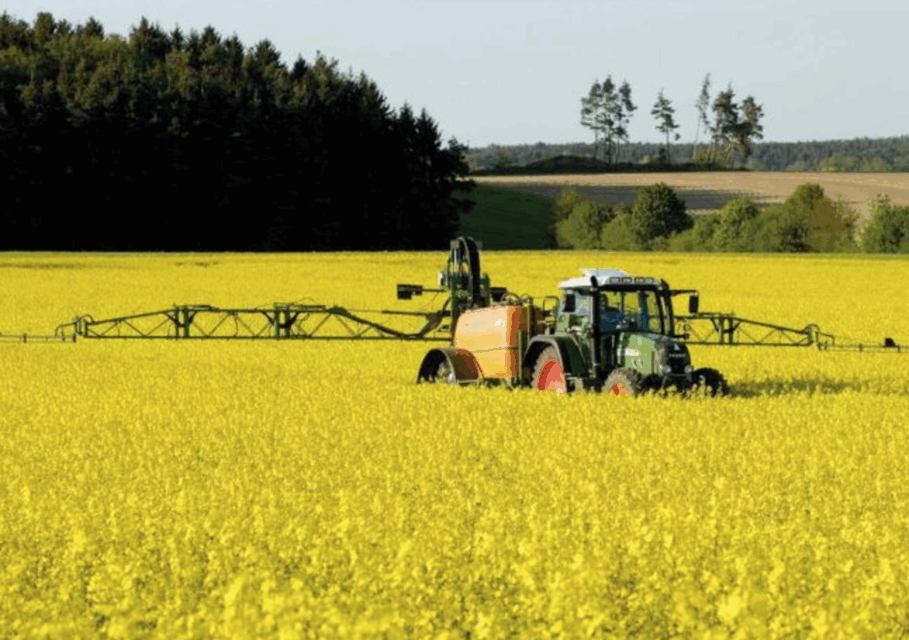 agroxxi.ru