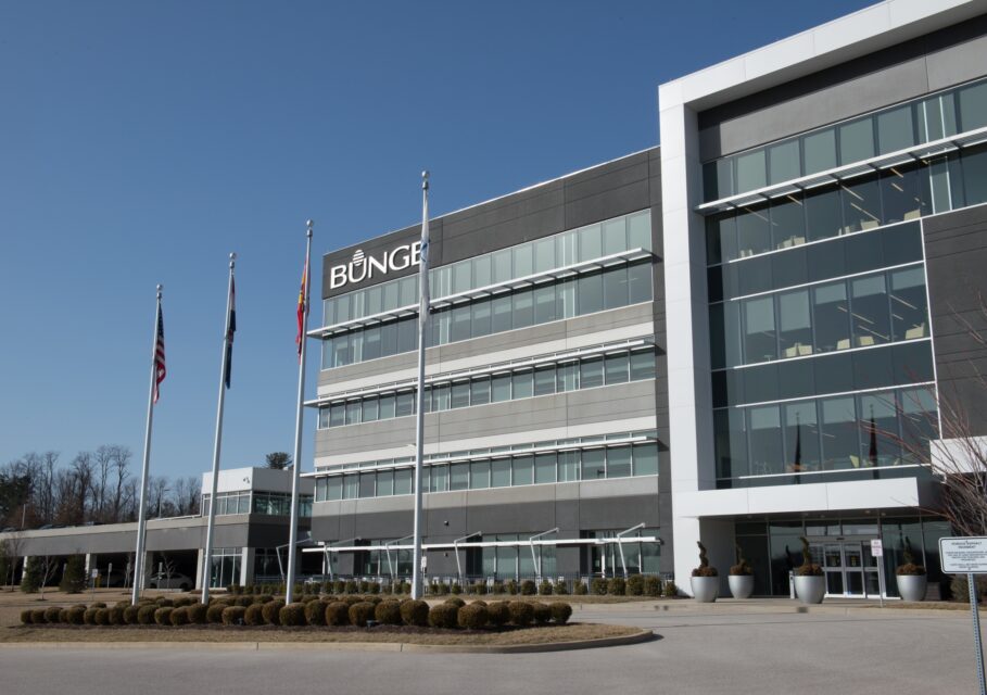 Bunge