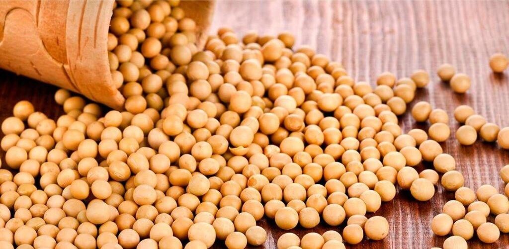 Agrovesti.net