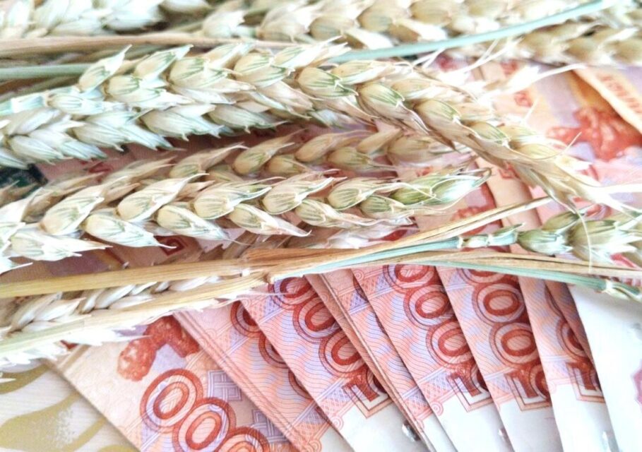 сельхозбиржа