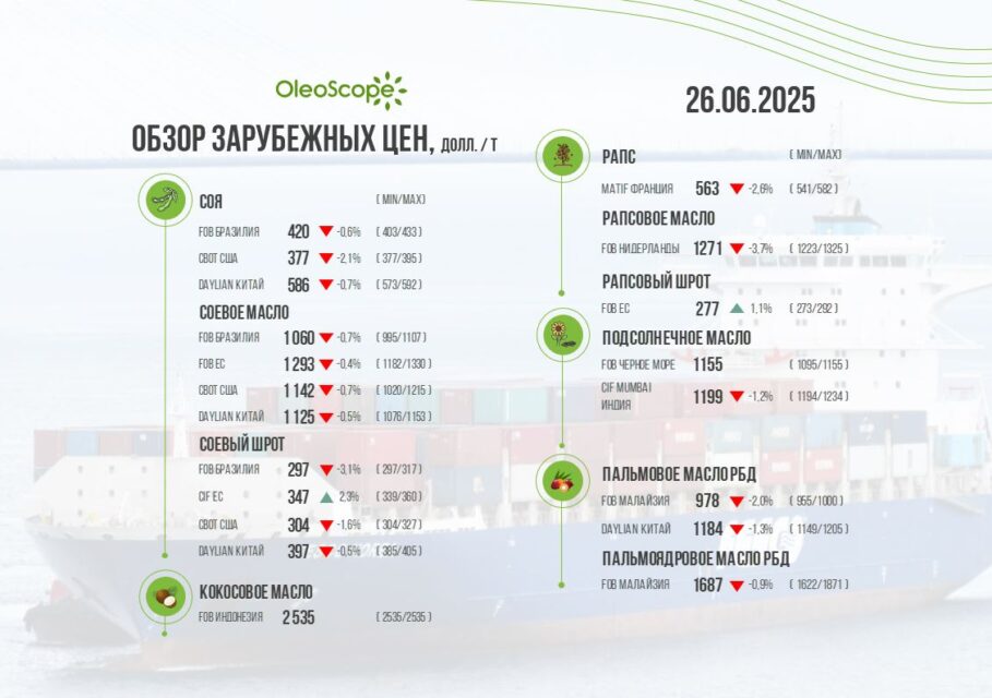 обзор