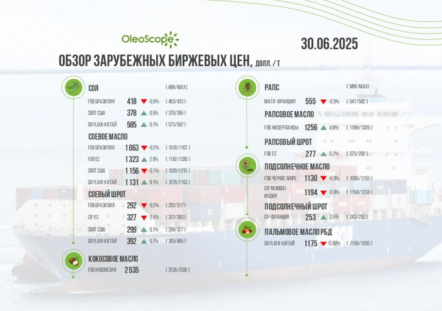 обзор
