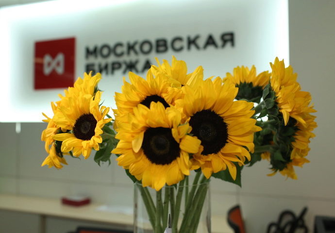 подсолнечник аукцион