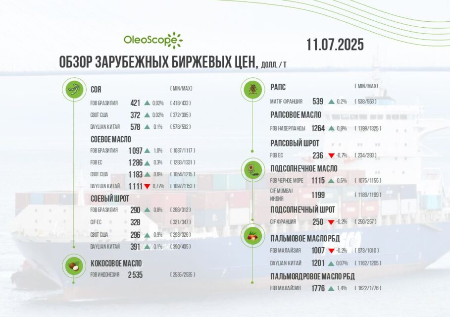 обзор