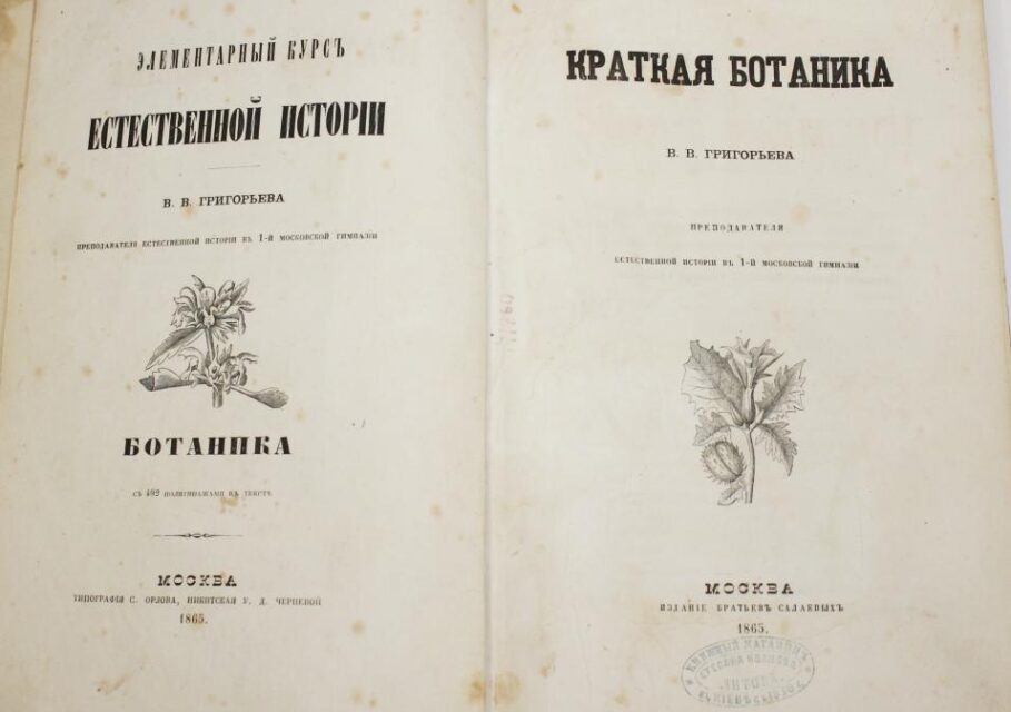 библиотека