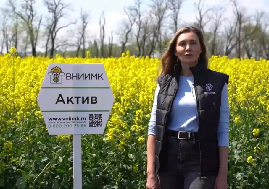 сорт рапса селекция