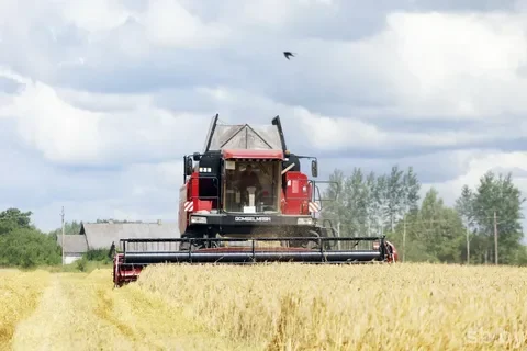 ячмень уборка ИКАР
