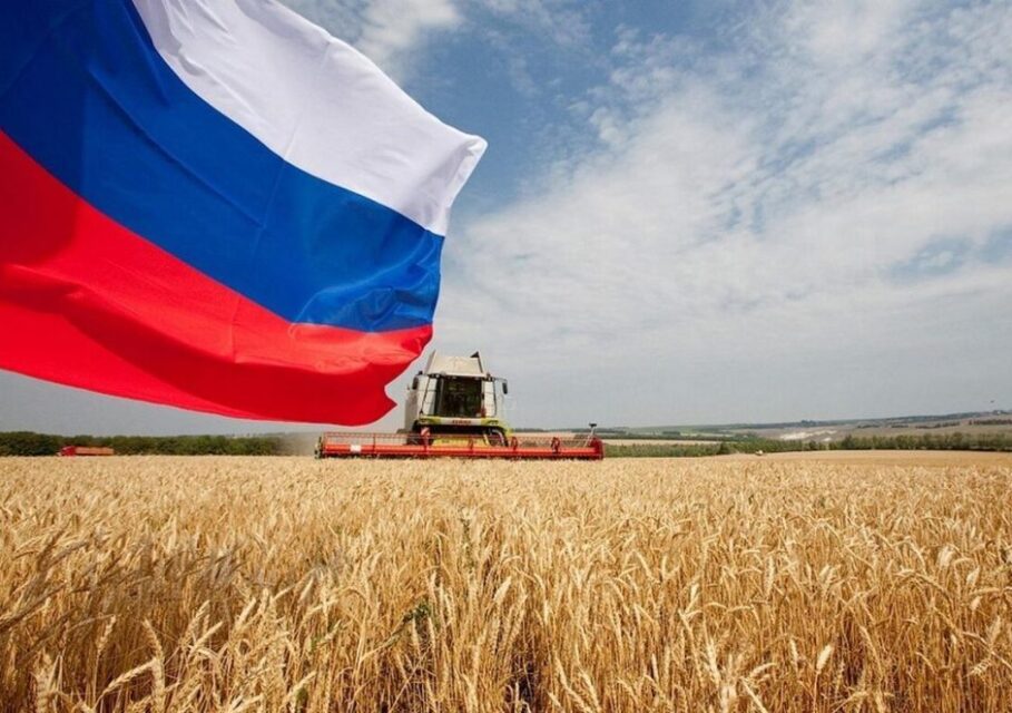МСЗ пшеница пошлина ставки прогноз