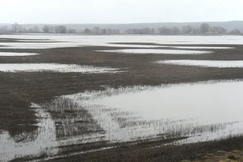 половодье гидромет
