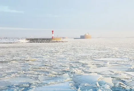 Балтика порт экспорт