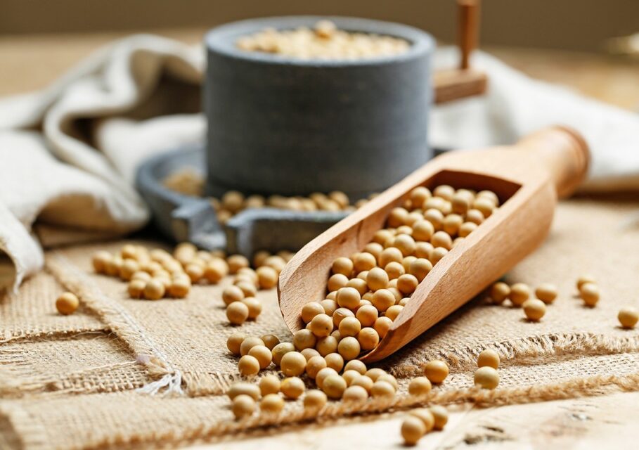 herbalinfo.ru