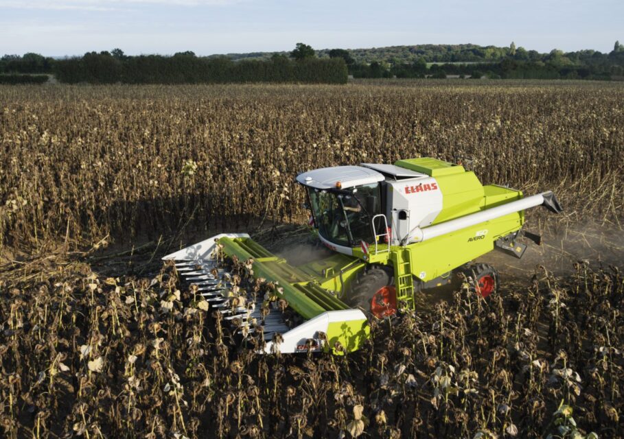 agroexpert.md