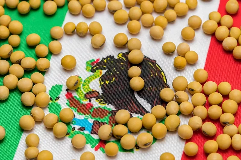 Мексика масличные соя