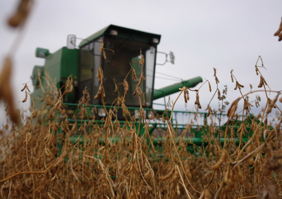 agroamur.ru