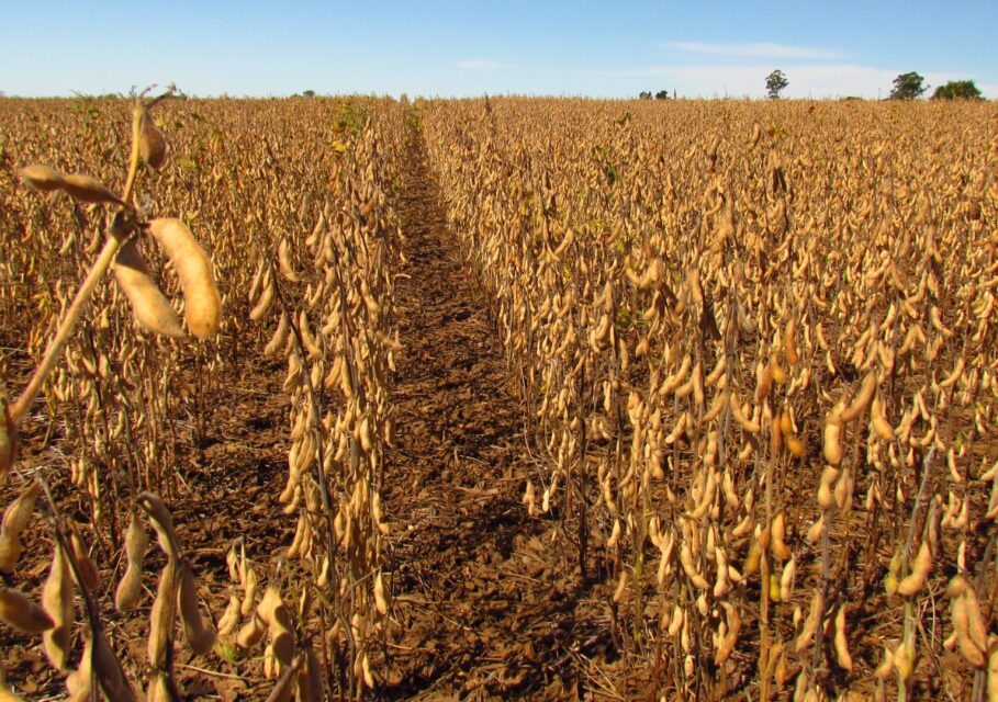 agroexpert.md