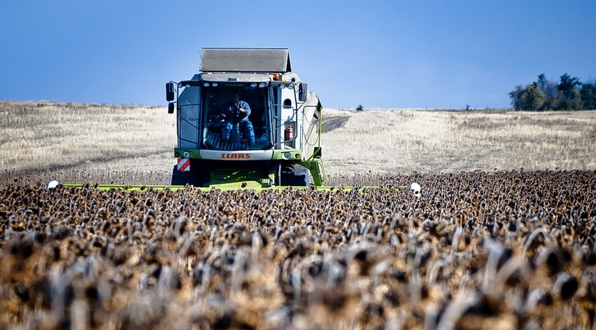 chelagro.ru