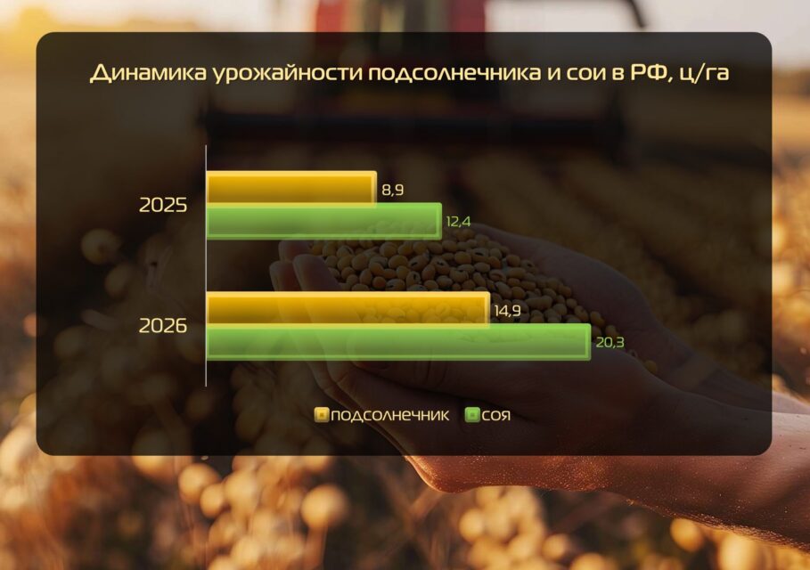аграрии уборочная